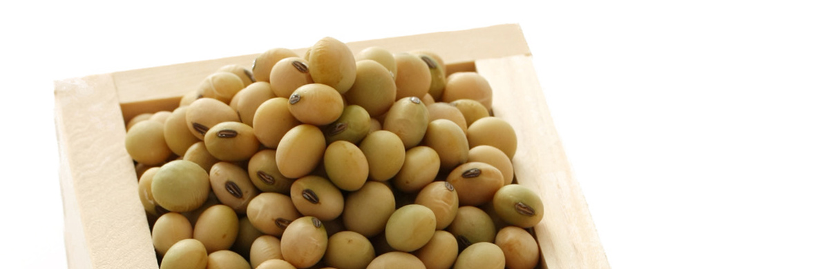 soy beans
